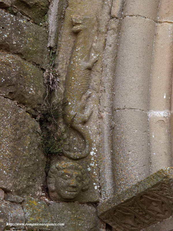 DETALLE DEL GUARDAPOLVO